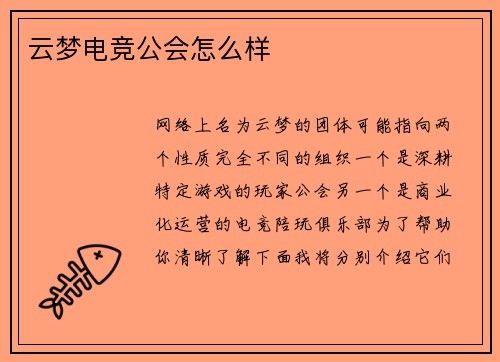 云梦电竞公会怎么样